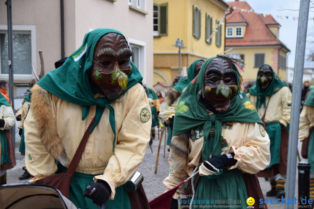 Fasnetsumzug - Fasching: Tettnang am Bodensee, 05.03.2019