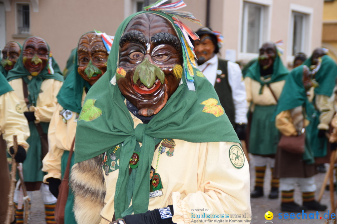 Fasnetsumzug - Fasching: Tettnang am Bodensee, 05.03.2019