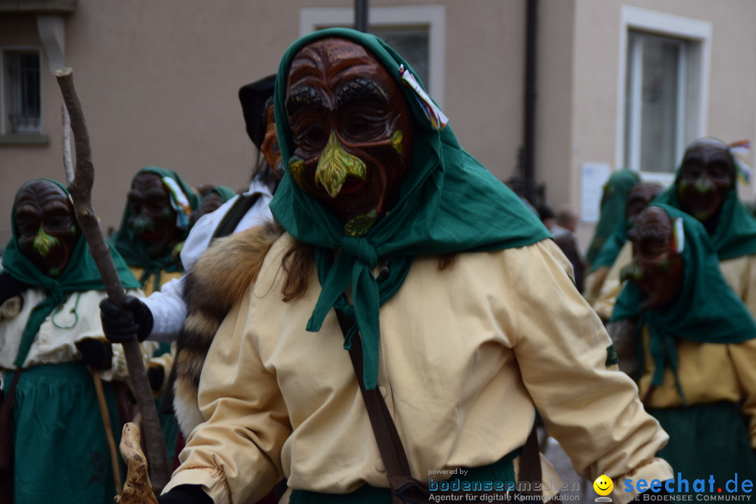 Fasnetsumzug - Fasching: Tettnang am Bodensee, 05.03.2019