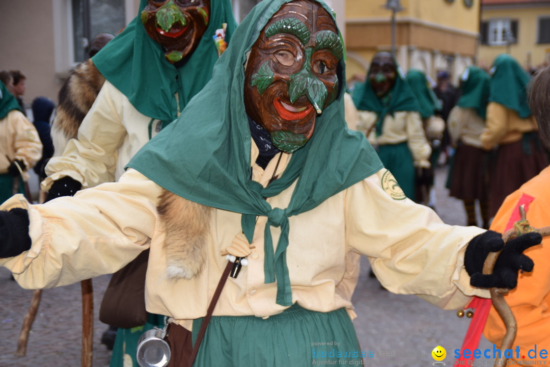 Fasnetsumzug - Fasching: Tettnang am Bodensee, 05.03.2019