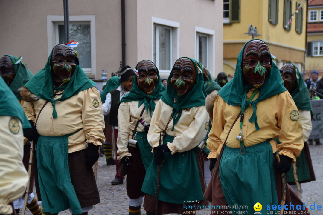 Fasnetsumzug - Fasching: Tettnang am Bodensee, 05.03.2019