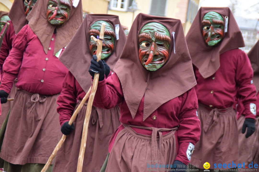 Fasnetsumzug - Fasching: Tettnang am Bodensee, 05.03.2019