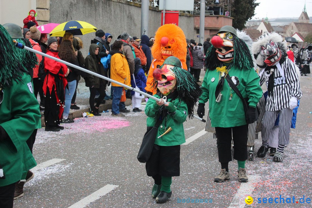 Cortege: Basel - Schweiz, 11.03.2019