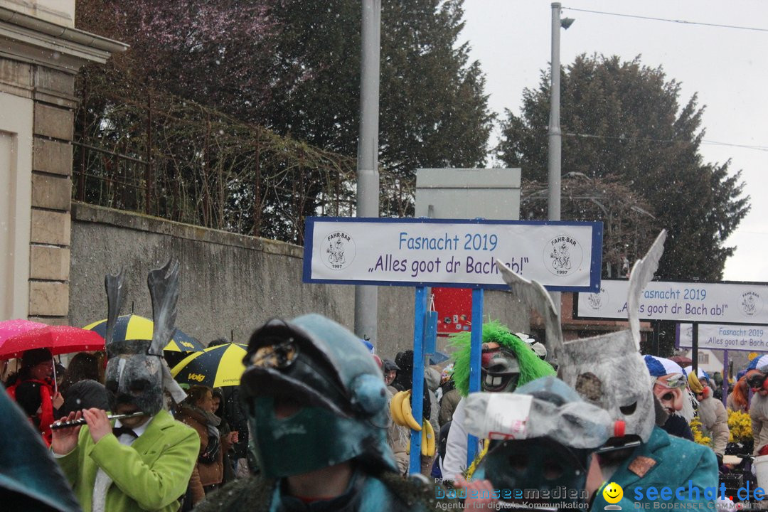 Cortege: Basel - Schweiz, 11.03.2019