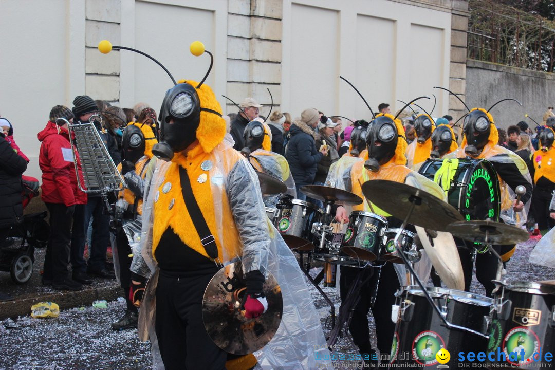 Cortege: Basel - Schweiz, 11.03.2019