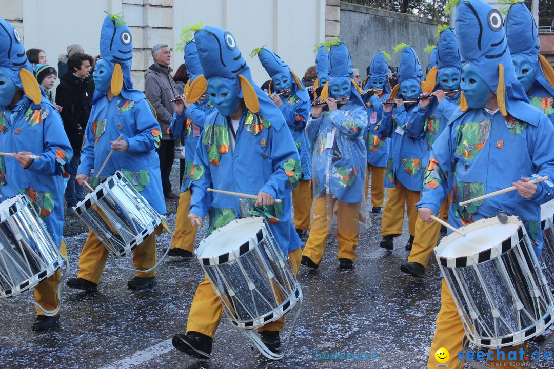 Cortege: Basel - Schweiz, 11.03.2019