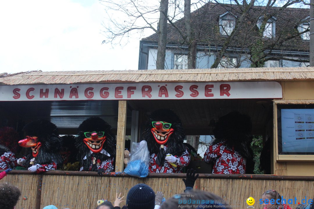 Cortege: Basel - Schweiz, 11.03.2019