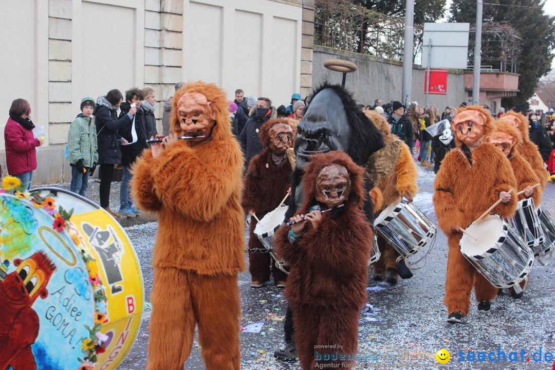 Cortege: Basel - Schweiz, 11.03.2019