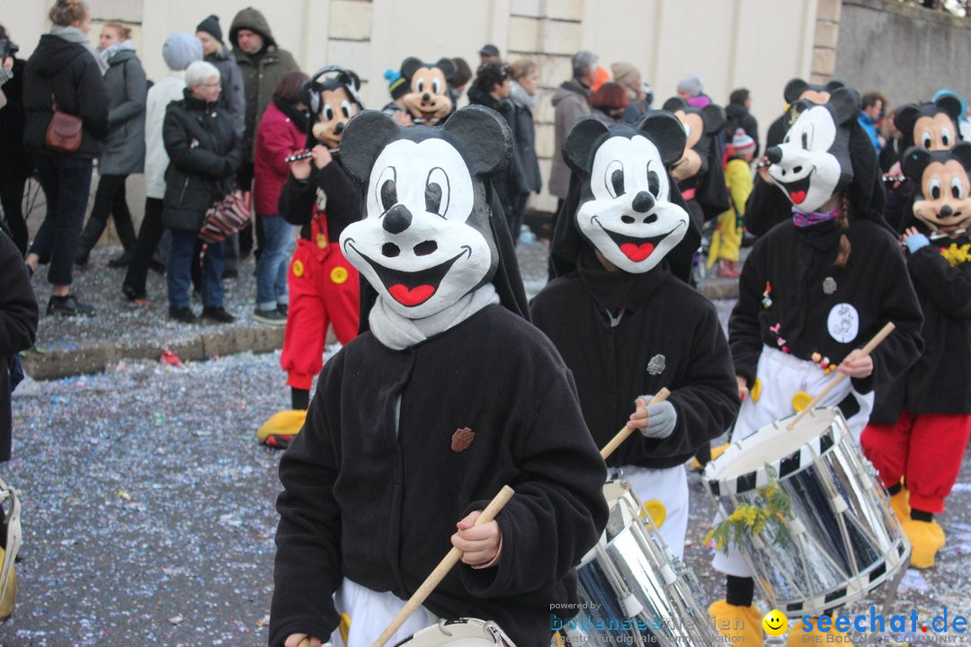 Cortege: Basel - Schweiz, 11.03.2019