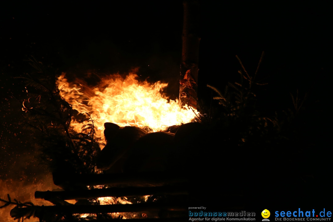 Funkenfeuer Fasnet - Unteruhldingen und Ittendorf Markdorf, 09.03.2019