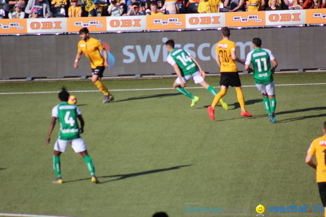 Young Boys YB vs. FS SG 1879 - St Gallen, 31.03.2019