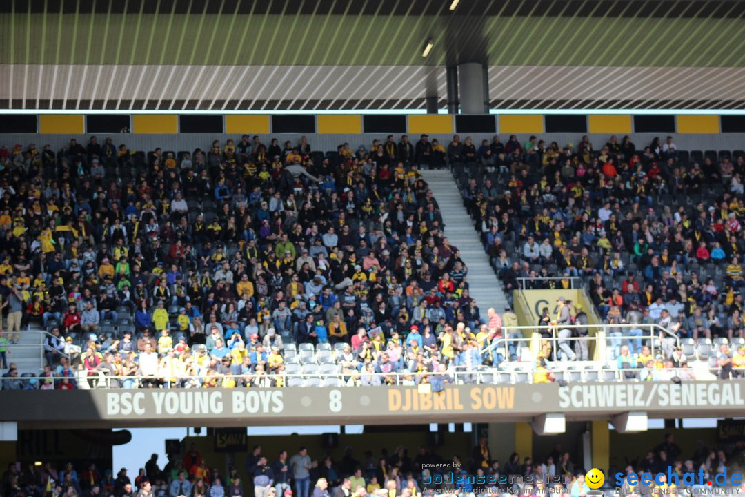 Young Boys YB vs. FS SG 1879 - St Gallen, 31.03.2019