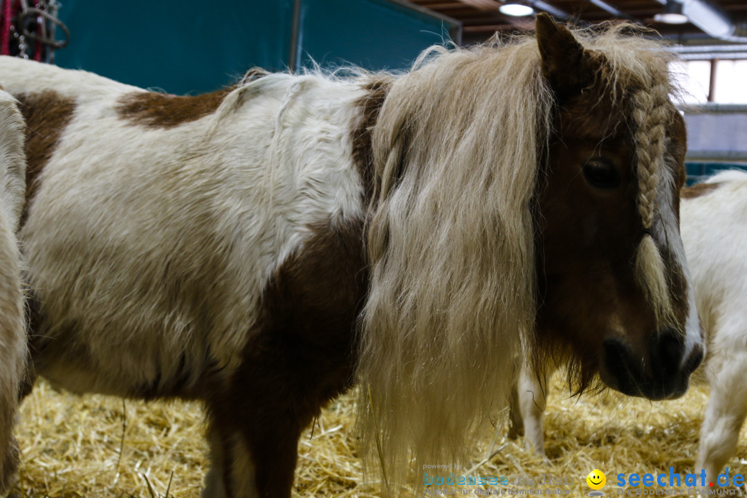 OFFA mit Modenschau - Fruehlings- und Trendmesse: Sankt Gallen, 10.04.2019