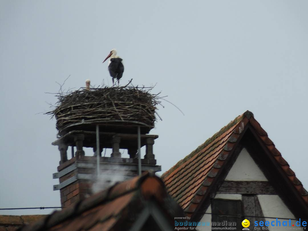 Flohmarkt in Riedlingen am Bodensee, 18.05.2019