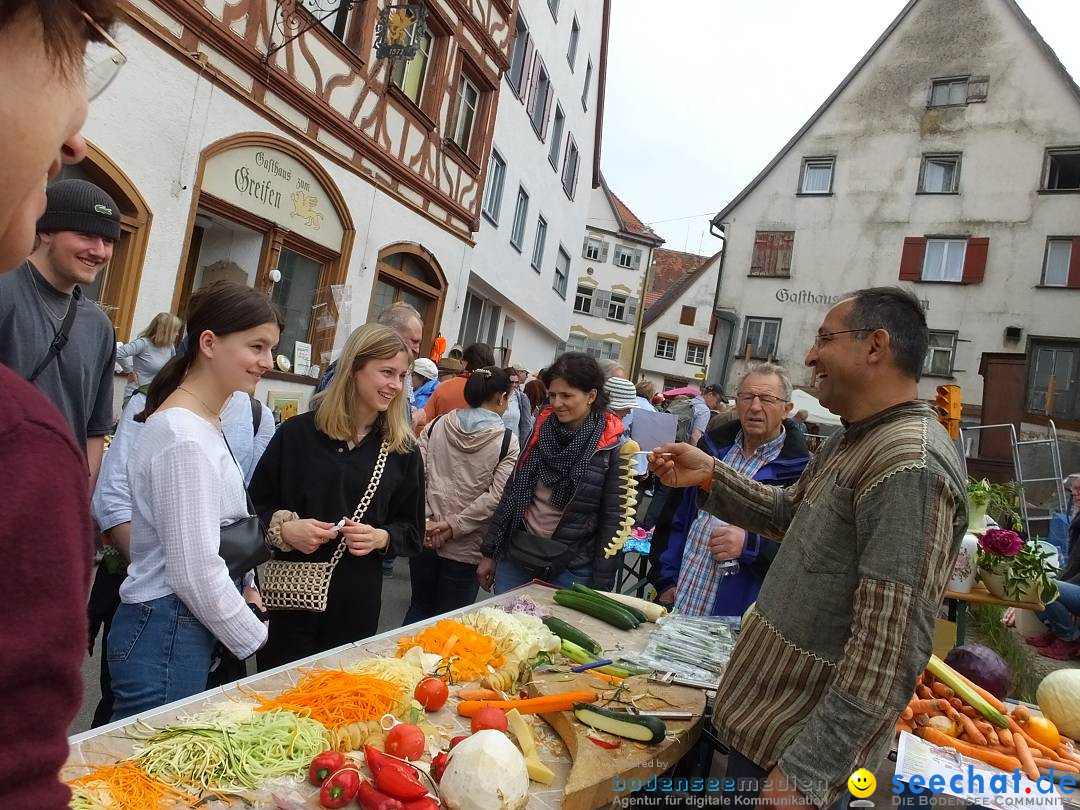 Flohmarkt in Riedlingen am Bodensee, 18.05.2019