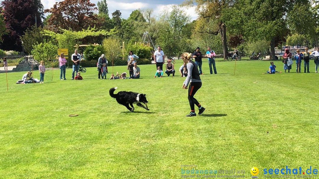 Hundeshow: Rorschach, 19.05.2019