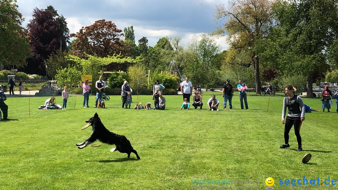 Hundeshow: Rorschach, 19.05.2019