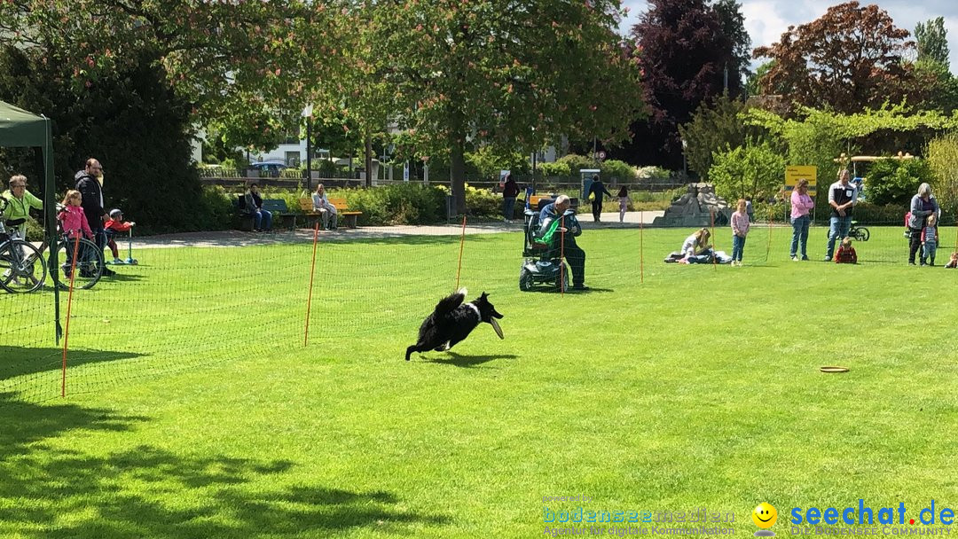 Hundeshow: Rorschach, 19.05.2019