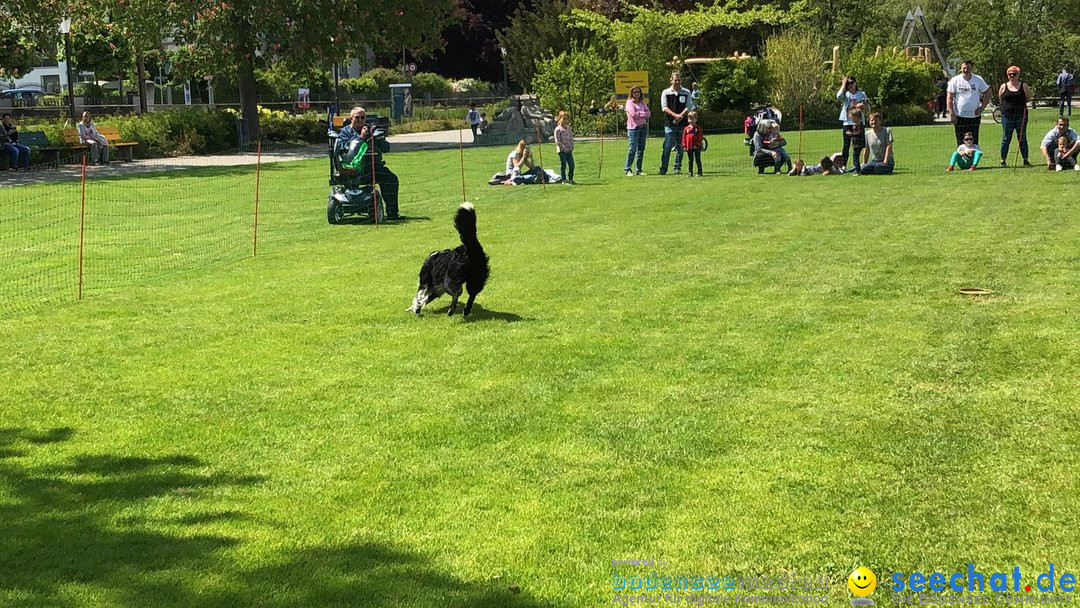 Hundeshow: Rorschach, 19.05.2019