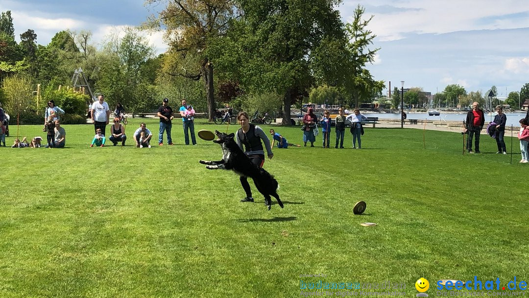 Hundeshow: Rorschach, 19.05.2019