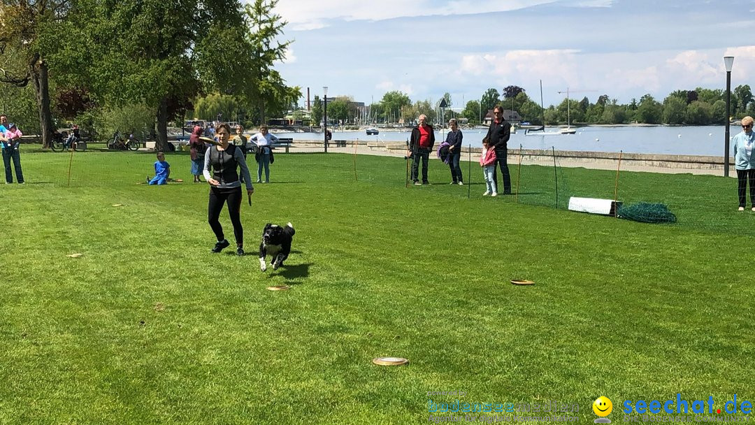 Hundeshow: Rorschach, 19.05.2019