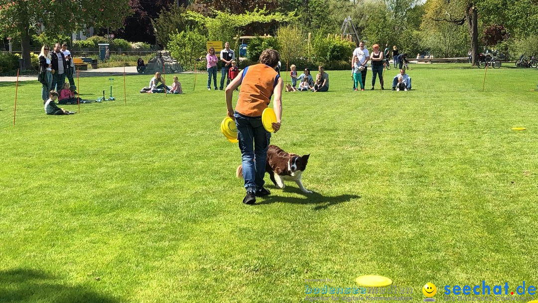 Hundeshow: Rorschach, 19.05.2019