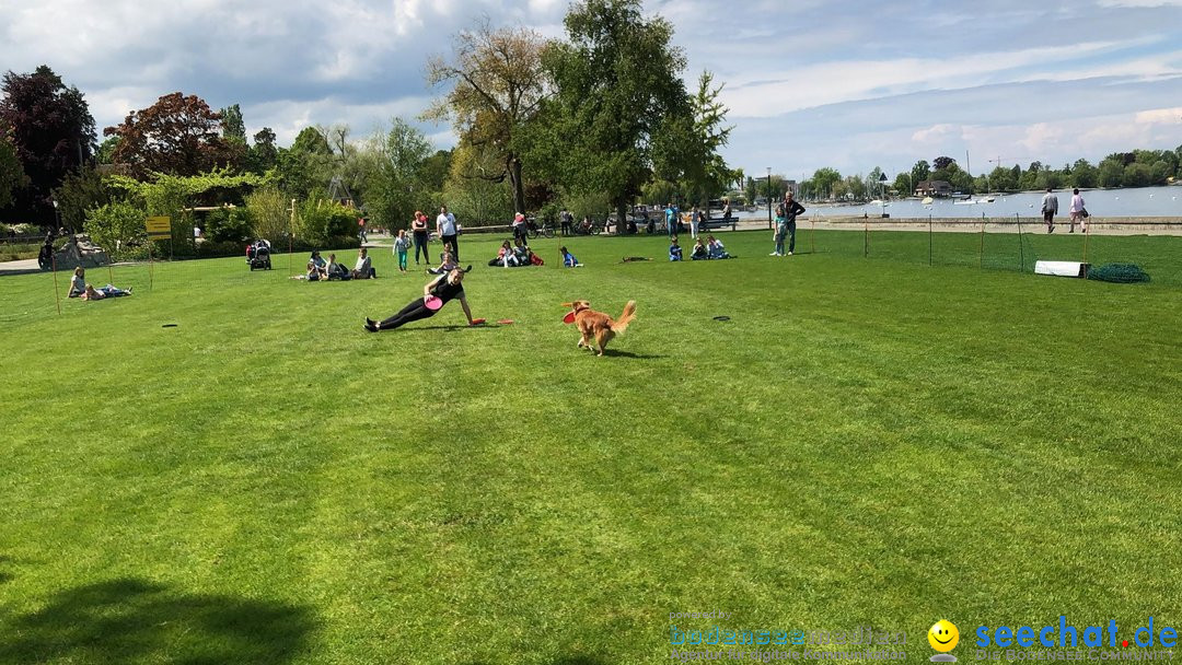 Hundeshow: Rorschach, 19.05.2019