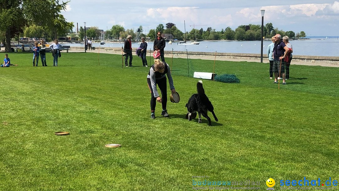 Hundeshow: Rorschach, 19.05.2019