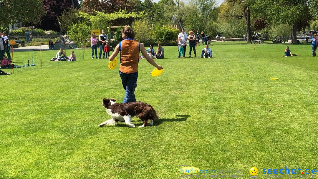 Hundeshow: Rorschach, 19.05.2019