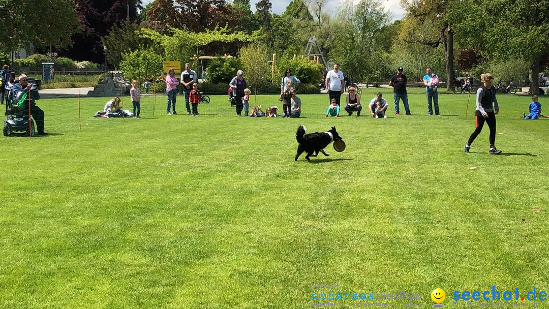 Hundeshow: Rorschach, 19.05.2019