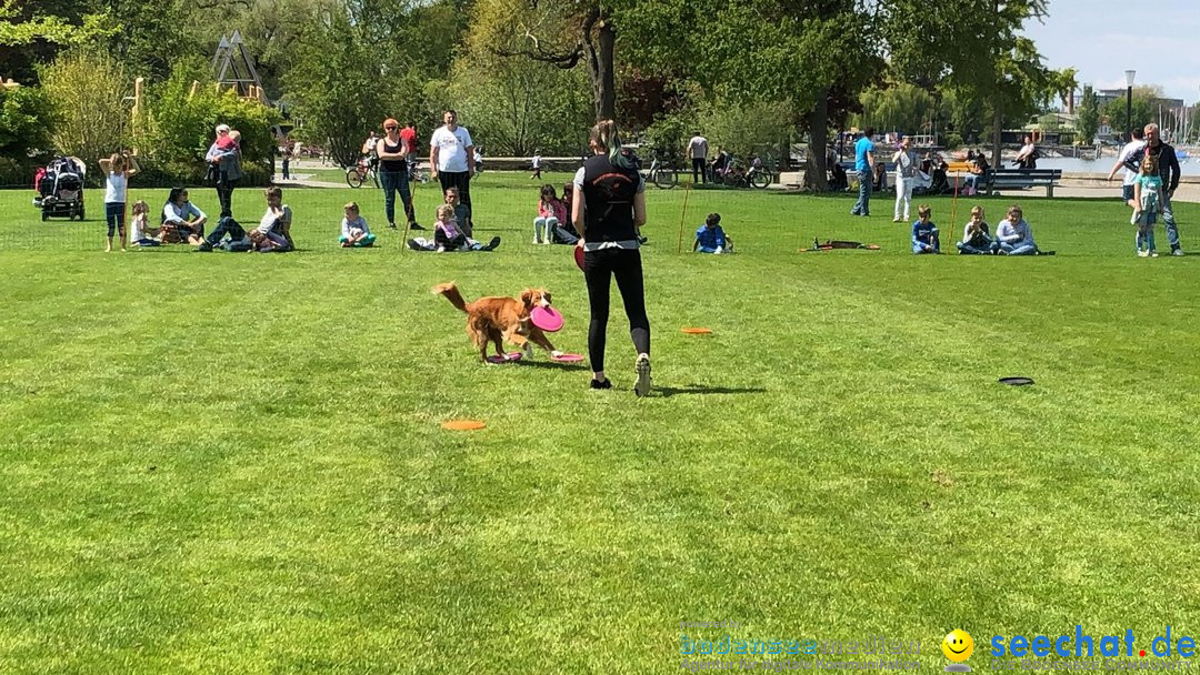 Hundeshow: Rorschach, 19.05.2019