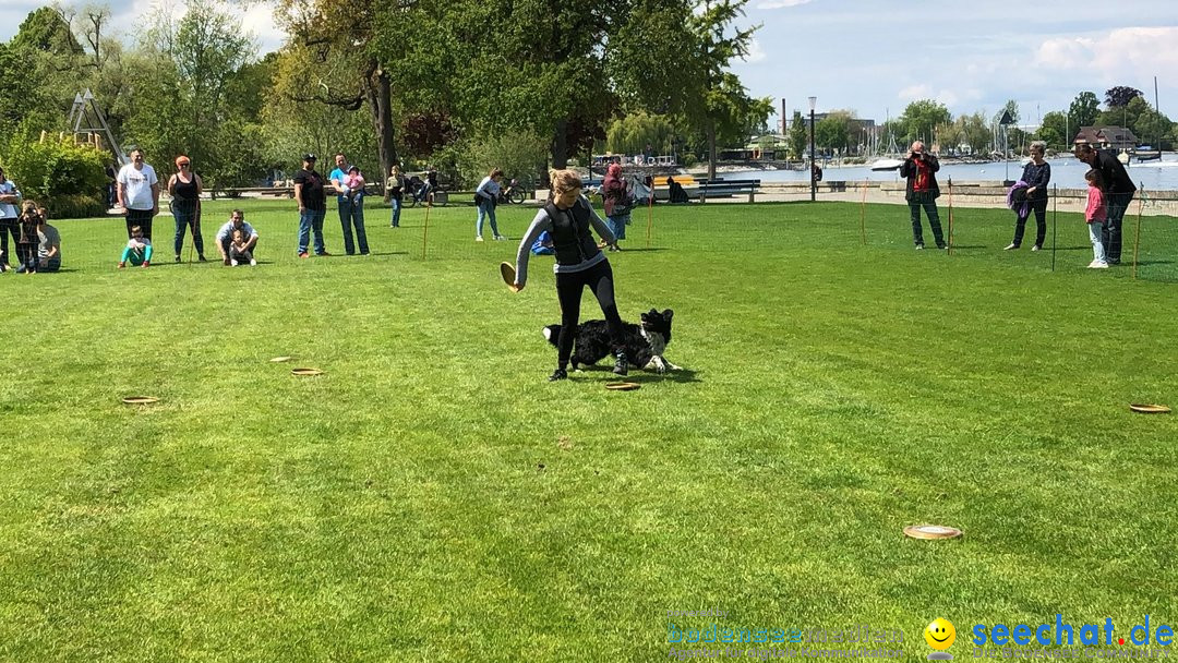 Hundeshow: Rorschach, 19.05.2019