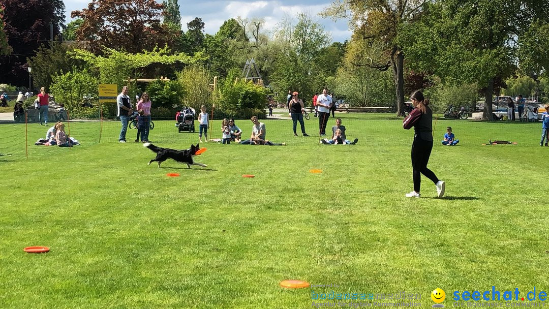 Hundeshow: Rorschach, 19.05.2019