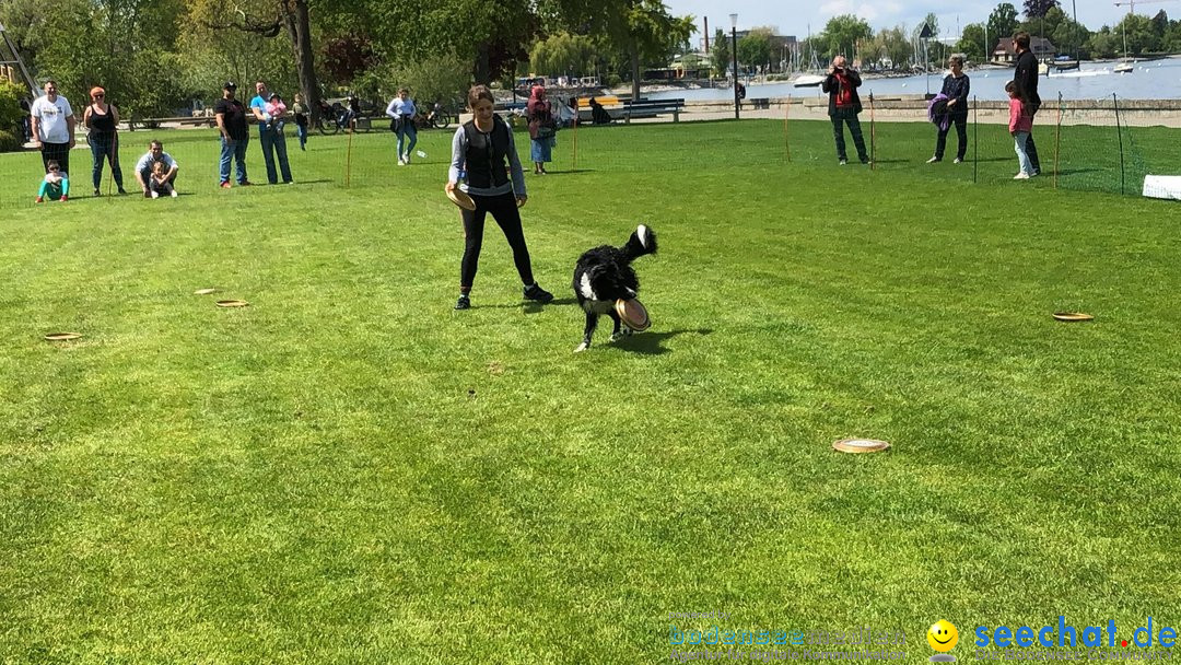 Hundeshow: Rorschach, 19.05.2019