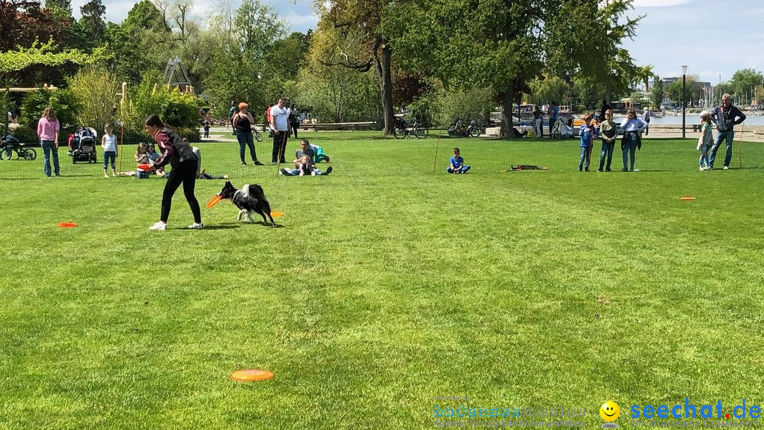 Hundeshow: Rorschach, 19.05.2019