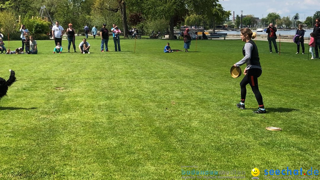 Hundeshow: Rorschach, 19.05.2019