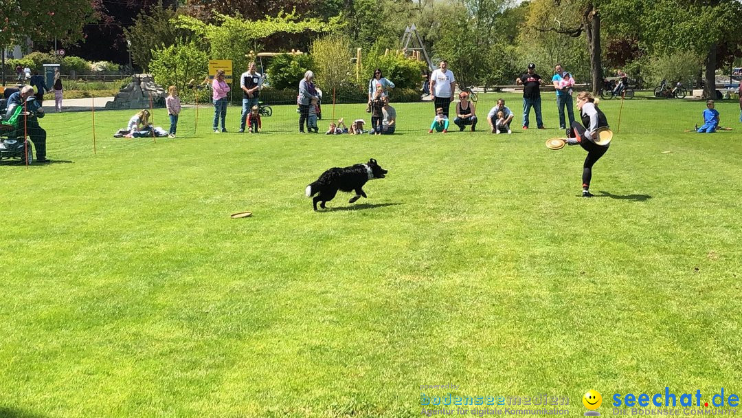 Hundeshow: Rorschach, 19.05.2019