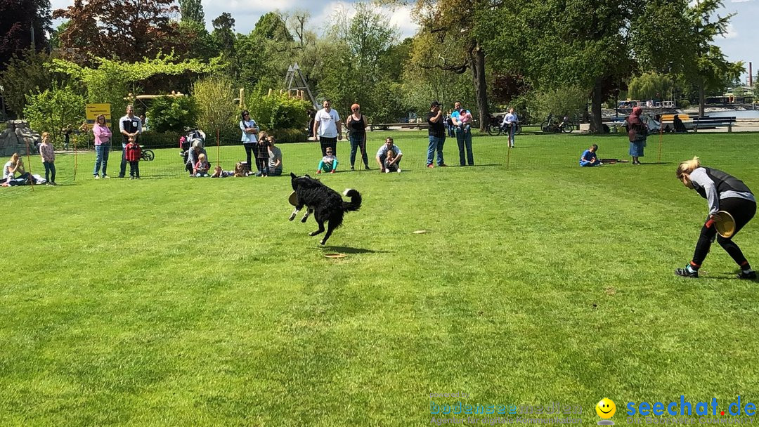 Hundeshow: Rorschach, 19.05.2019