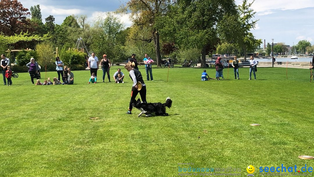 Hundeshow: Rorschach, 19.05.2019