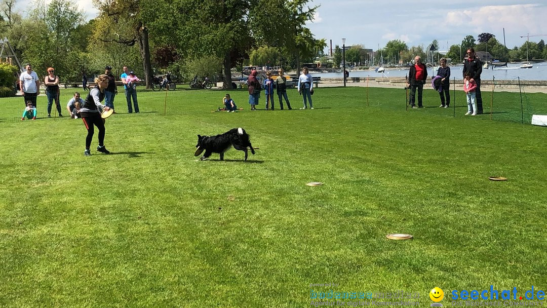 Hundeshow: Rorschach, 19.05.2019