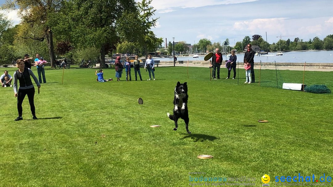 Hundeshow: Rorschach, 19.05.2019