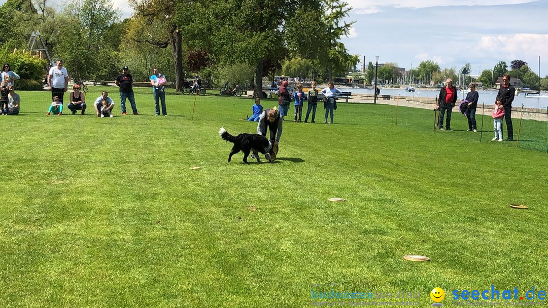 Hundeshow: Rorschach, 19.05.2019