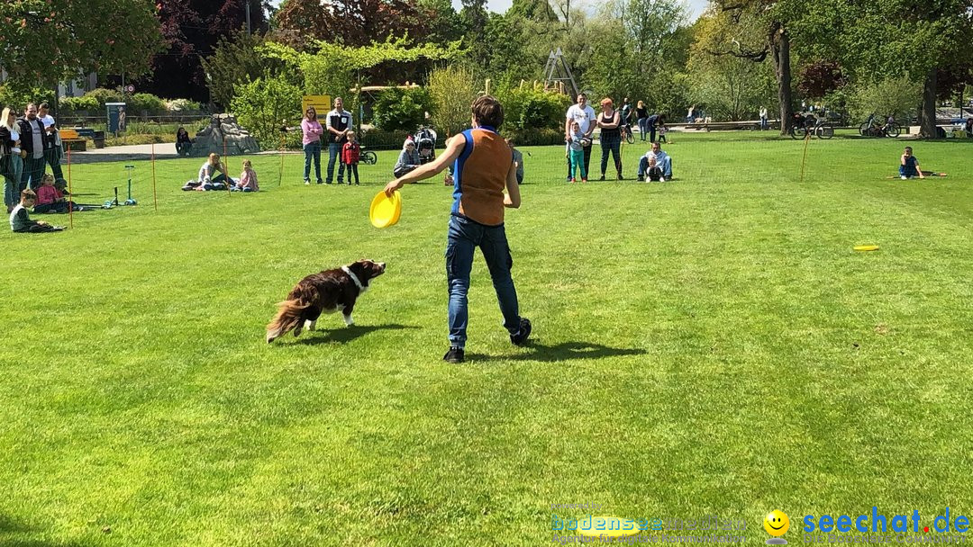 Hundeshow: Rorschach, 19.05.2019