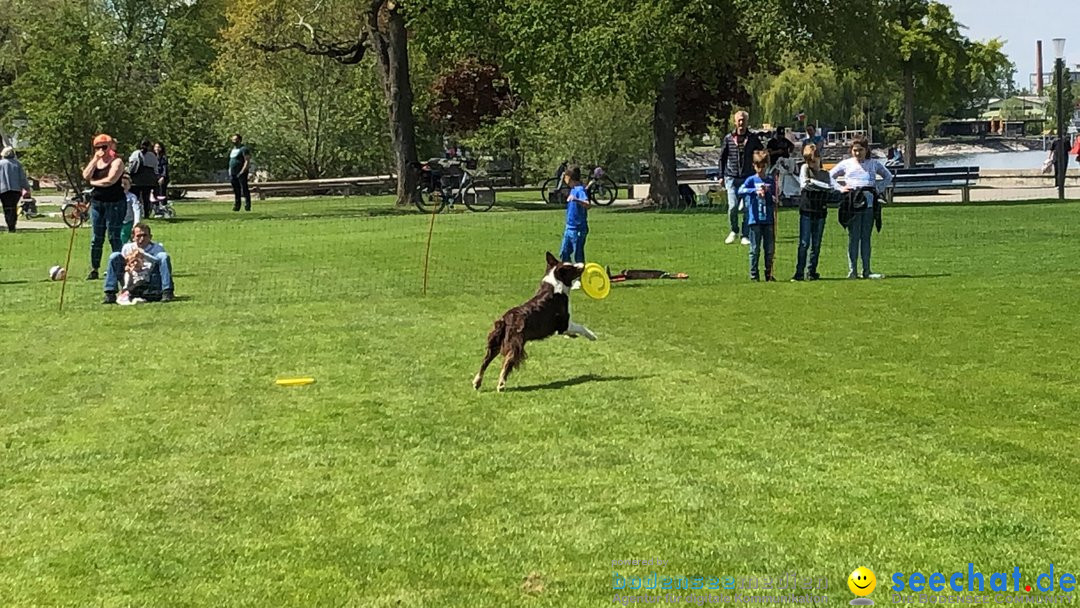 Hundeshow: Rorschach, 19.05.2019