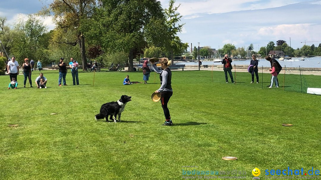 Hundeshow: Rorschach, 19.05.2019