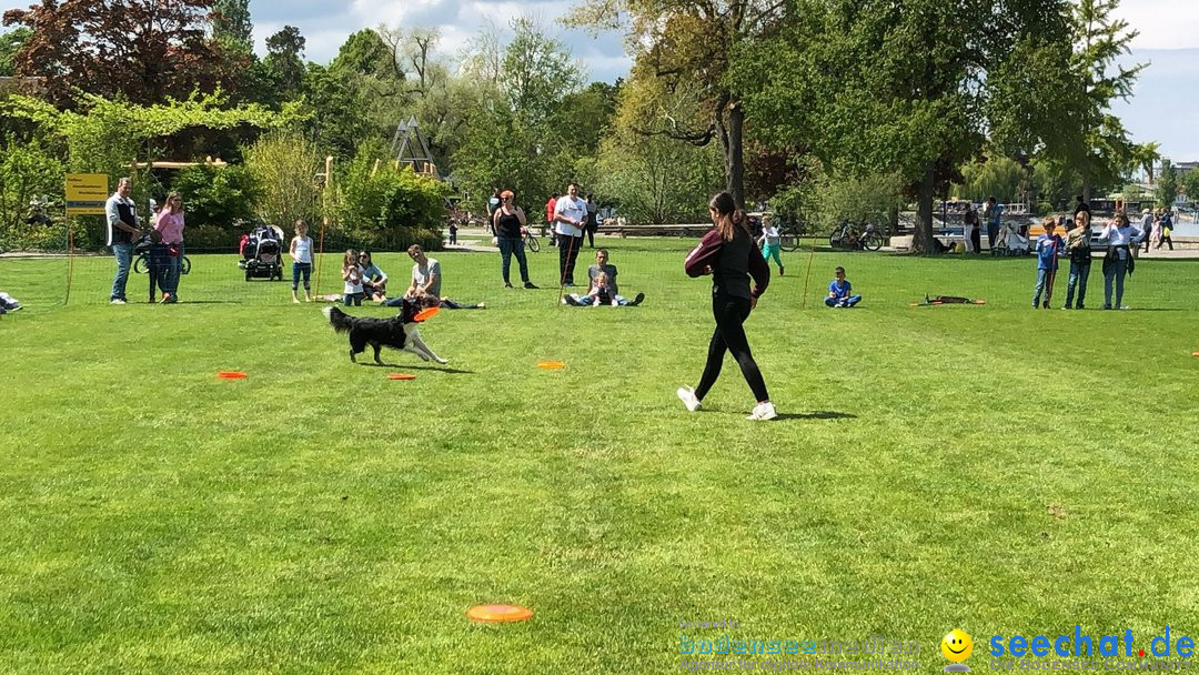 Hundeshow: Rorschach, 19.05.2019