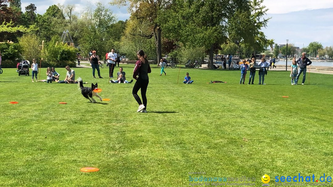 Hundeshow: Rorschach, 19.05.2019