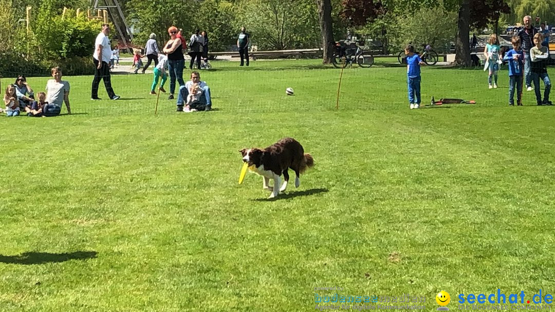 Hundeshow: Rorschach, 19.05.2019