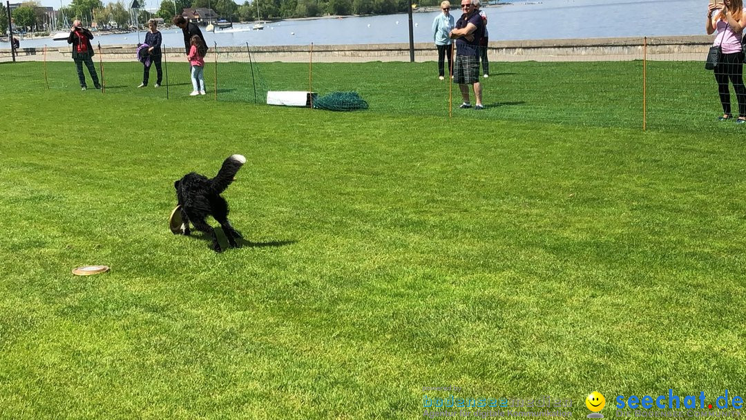 Hundeshow: Rorschach, 19.05.2019