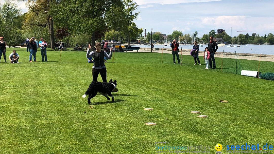 Hundeshow: Rorschach, 19.05.2019